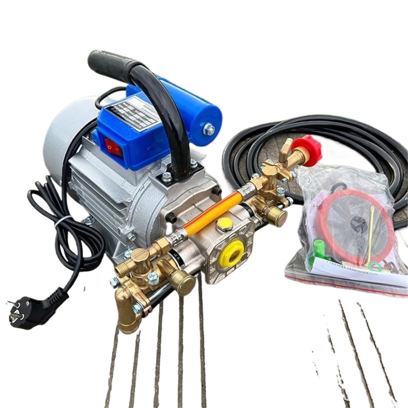 1100W 220V Four-Stroke Dual Cy - огляд і ціна Electric Sprayer Backpack